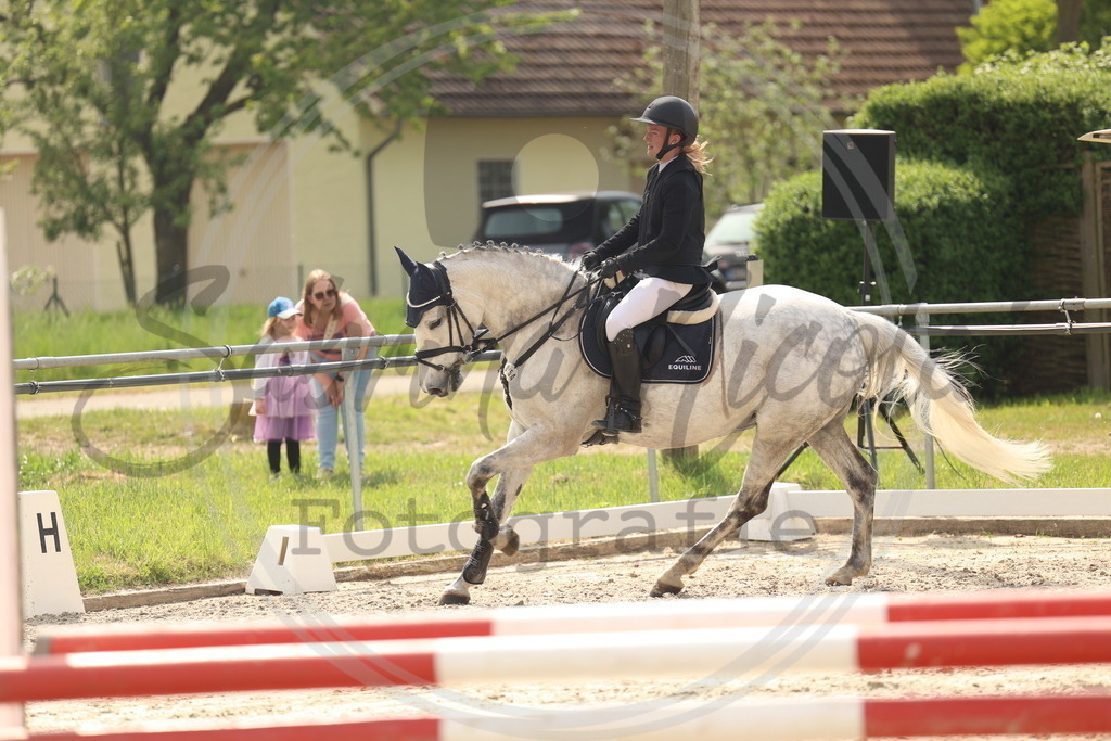 994A7697 | sabrinanicolaifotografie - Realisiert mit Pictrs.com