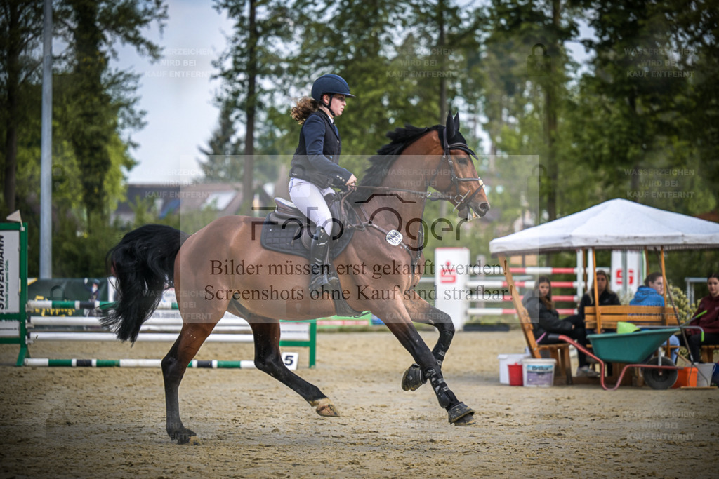 DOS_4591 | Entdecke hochwertige Reitturnierfotos von Foto Oger. Professionell, emotional und authentisch – jetzt Lieblingsmomente im Shop bestellen. - Realisiert mit Pictrs.com