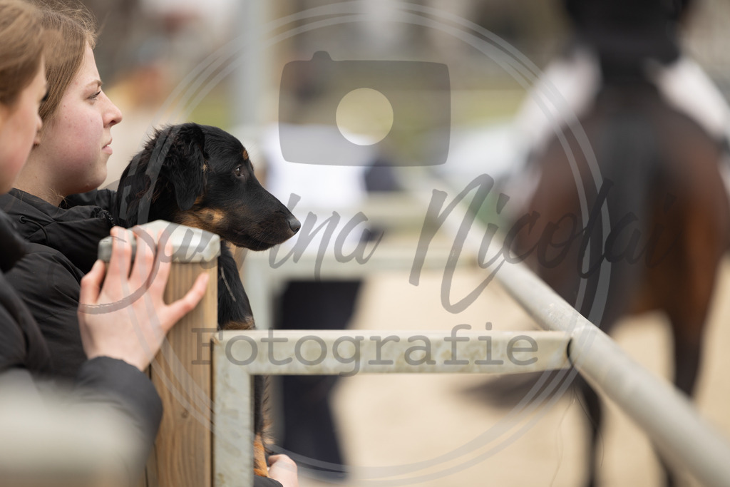 994A8590 | sabrinanicolaifotografie - Realisiert mit Pictrs.com