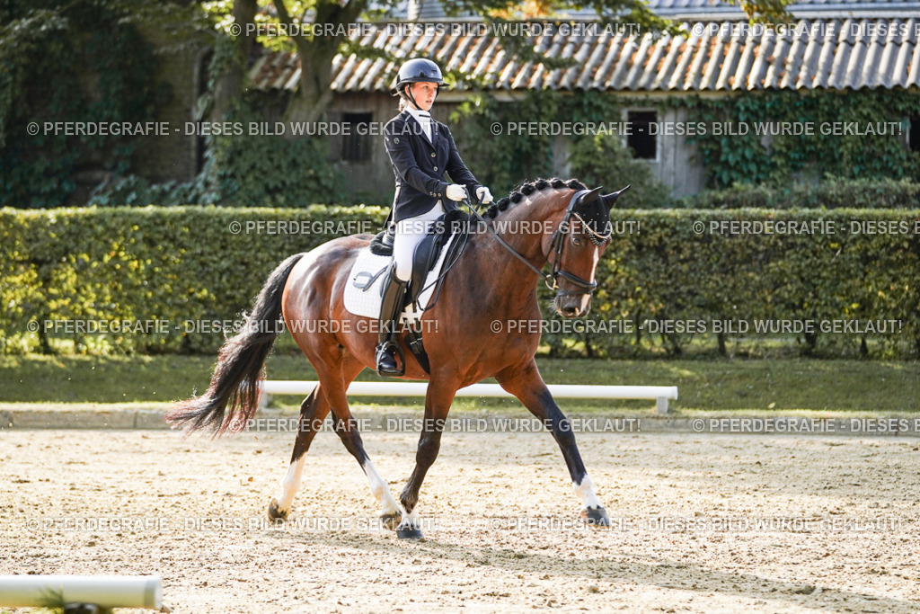 DSC05083 | Pferdegrafie