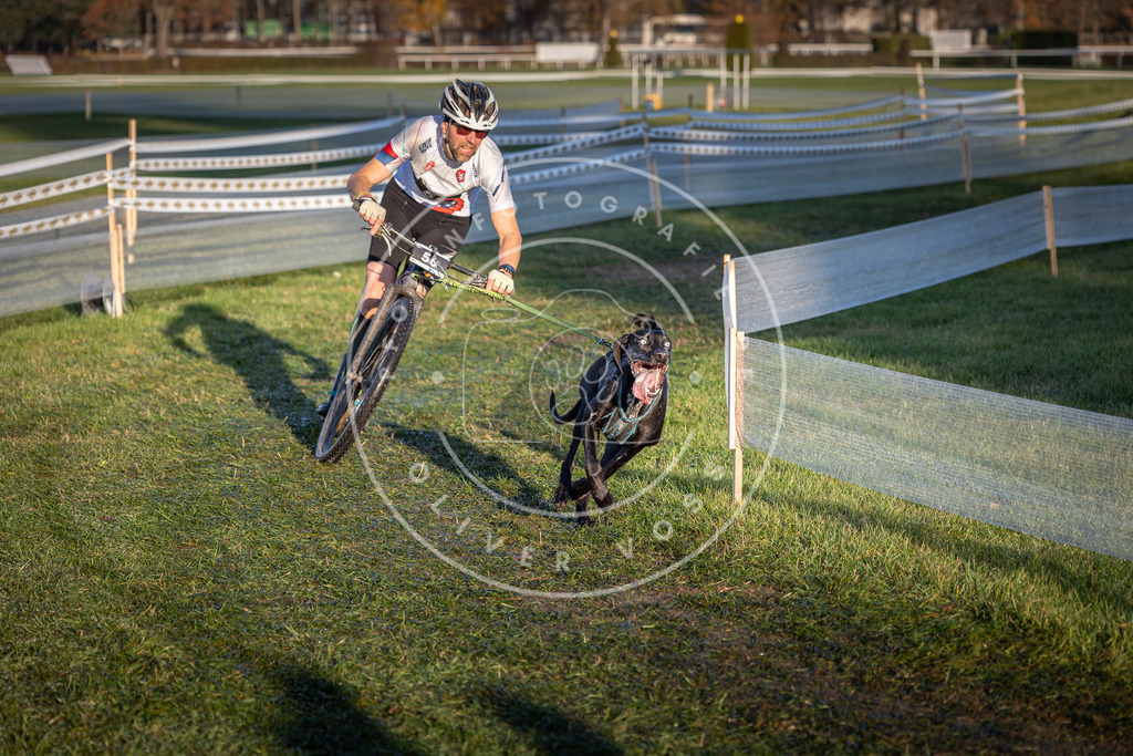 CaniXpix_0L8A3070 | Hundefotografie, Tierfotograf, Pfotenfotografie, Fotoshooting Hund, Hunde Portrait, Hundesport, Hundeportraits, Heideshooting, Hunde, Sportfotograf, Hundefotograf, Turnierhundsport, THS,  - Realisiert mit Pictrs.com
