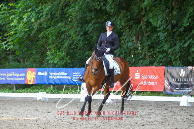 DKP42599 | Turniersportfotografie; Pferdefotografie; Dressurfotografie