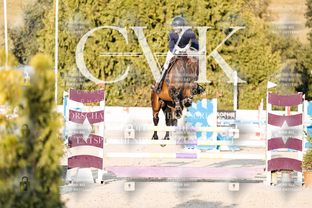 CK900994 | Turnierfotografie Pferdefotografie Trier Rheinland-Pfalz Pferdesport Reitsport Tierfotografie Sportfotografie Pferdevideo Pferdevideografie Equestrianvideography equestrianphotography  - Realisiert mit Pictrs.com