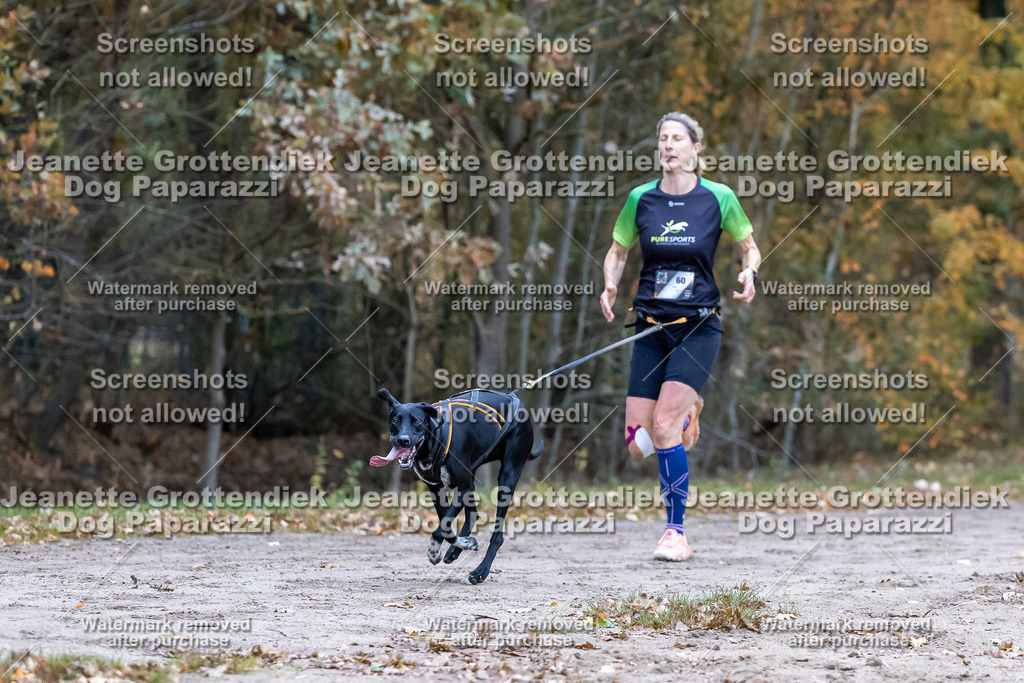 Dog Paparazzi - SD CaniX Championship 2025-96 | Dog Paparazzi Jeanette Grottendiek Fotografie & Videografie - Realisiert mit Pictrs.com