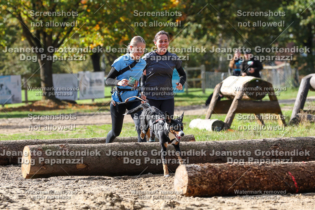 Dog Paparazzi - Strongdog 10-25-5137 | Dog Paparazzi Jeanette Grottendiek Fotografie & Videografie - Realisiert mit Pictrs.com