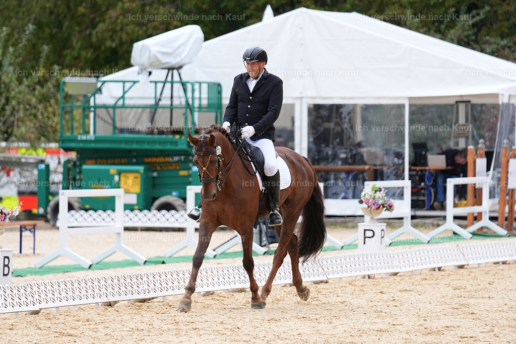 3-239-Dressur M_-Marixx-1913 | working equitationturnier fotograf videograf stoibphotography marixx film working equitation deutschland reitsport turnierfotografie eventfotografie equestrian events