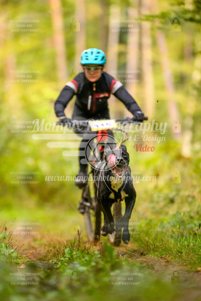 MompixPhotography_Yens2025_B2-19 | PayLife