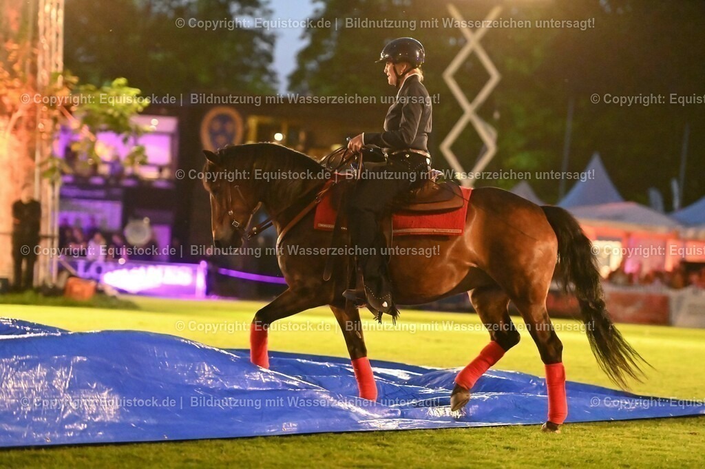 20230526_Pferdenacht_1033 | equistock