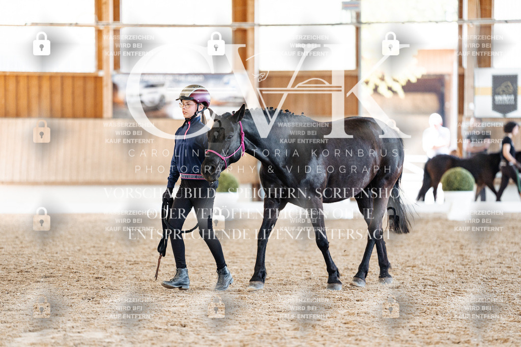 CK906792 | Turnierfotografie Pferdefotografie Trier Rheinland-Pfalz Pferdesport Reitsport Tierfotografie Sportfotografie Pferdevideo Pferdevideografie Equestrianvideography equestrianphotography  - Realisiert mit Pictrs.com