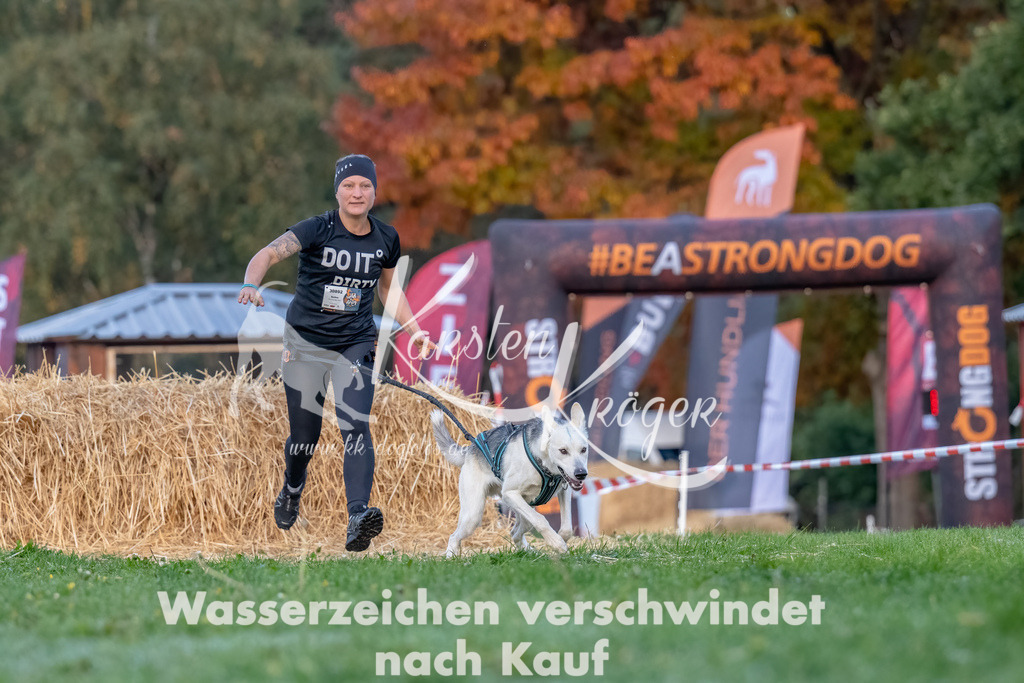 0814_ZZ94932-Bearbeitet | kk-dogfotos