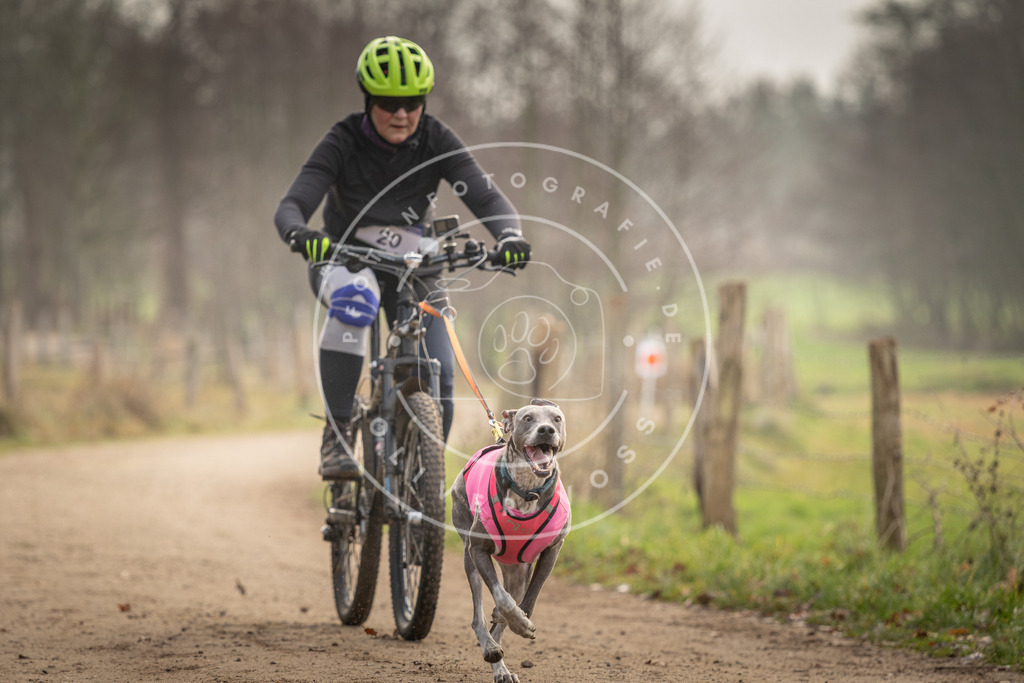 Pfotenfotografie_DV3A2053 | Hundefotografie, Tierfotograf, Pfotenfotografie, Fotoshooting Hund, Hunde Portrait, Hundesport, Hundeportraits, Heideshooting, Hunde, Sportfotograf, Hundefotograf, Turnierhundsport, THS,  - Realisiert mit Pictrs.com