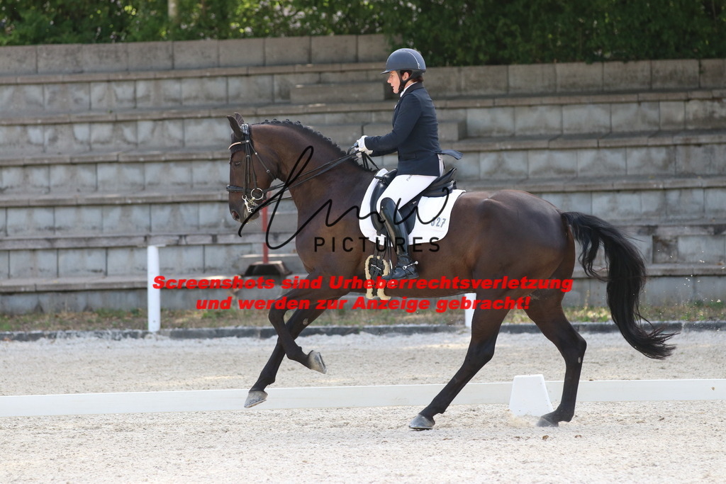 IMG_5557 | lmwpictures - Realisiert mit Pictrs.com