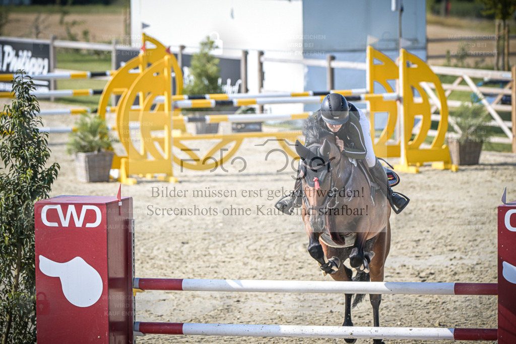 DOS_0954 | Entdecke hochwertige Reitturnierfotos von Foto Oger. Professionell, emotional und authentisch – jetzt Lieblingsmomente im Shop bestellen. - Realisiert mit Pictrs.com