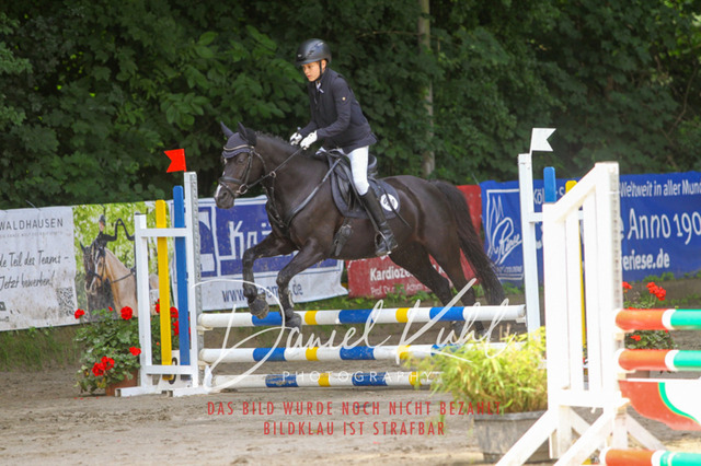 DKP44644 | Turniersportfotografie; Pferdefotografie; Dressurfotografie