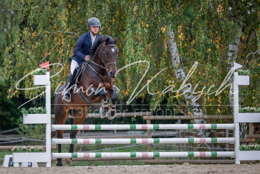 20251012-_3LI4118 | Tierfotografie Pferde, Hunde, Katzen, Haustiere.
Turnierfotografie Reitturniere, Reiten, Springreiten, Dressur in Hanau, dem Main-Kinzig-Kreis und dem Rhein-Main- Gebiet um Frankfurt