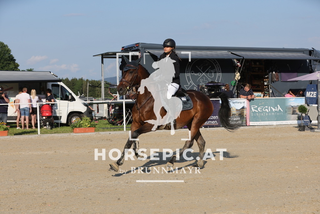 0P6A6887 | Willkommen bei Brunnmayr - Design & Fotografie – Ihrem Spezialisten für Reitturniere und Pferdeveranstaltungen in Oberösterreich, Salzburg und Bayern! Seit über 17 Jahren sind wir leidenschaftlich dabei.