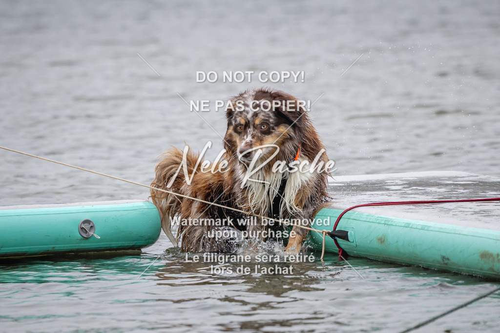 nelerasche_Hulsbeek_Sa1330-1430_449 | nelerasche