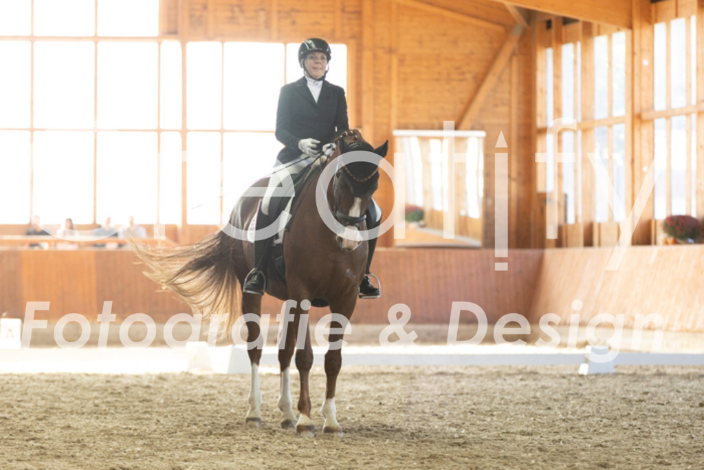 IMG_3601 | Creatify Fotografie