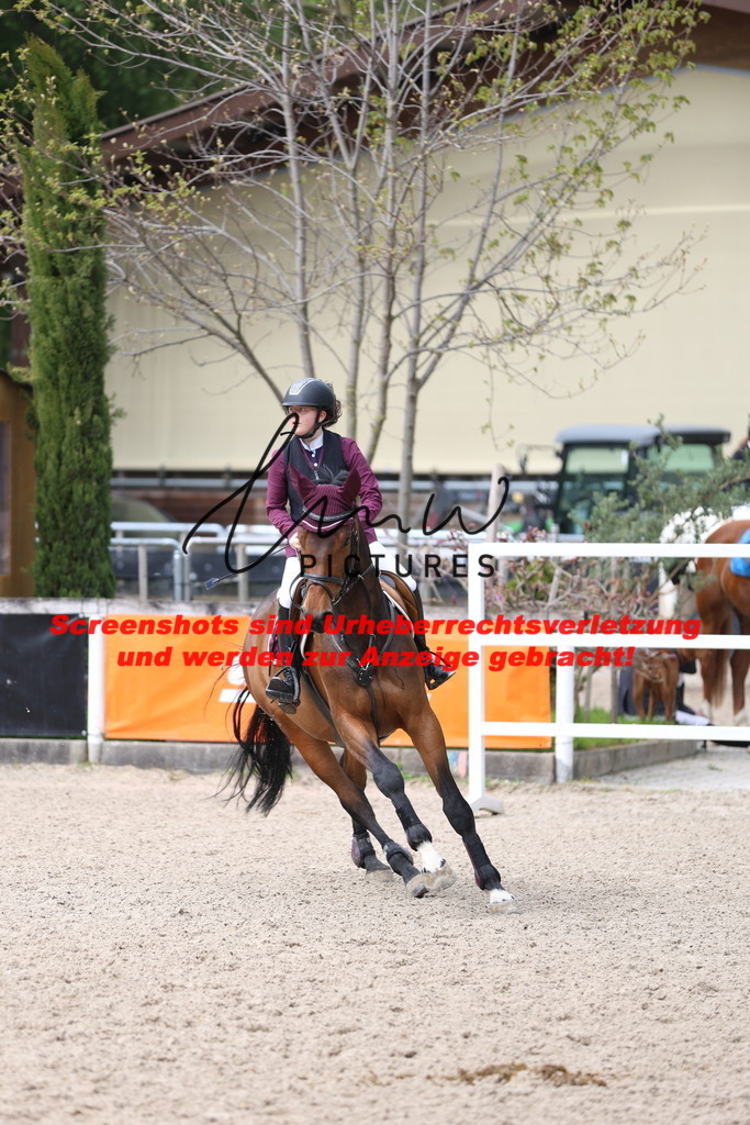 A40A2393 | lmwpictures - Realisiert mit Pictrs.com