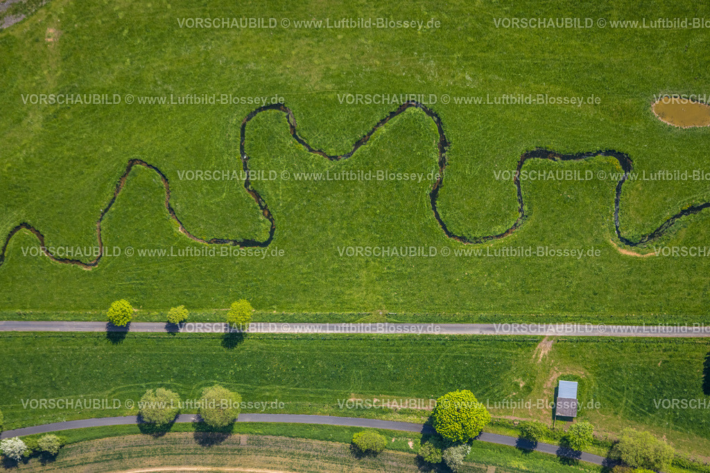 Brilon240503504 | Luftbild, Flussmäander Hunderbecke, naturnahe Landschaft, drei Bäume an einer Straße, Brilon, Sauerland, Nordrhein-Westfalen, Deutschland