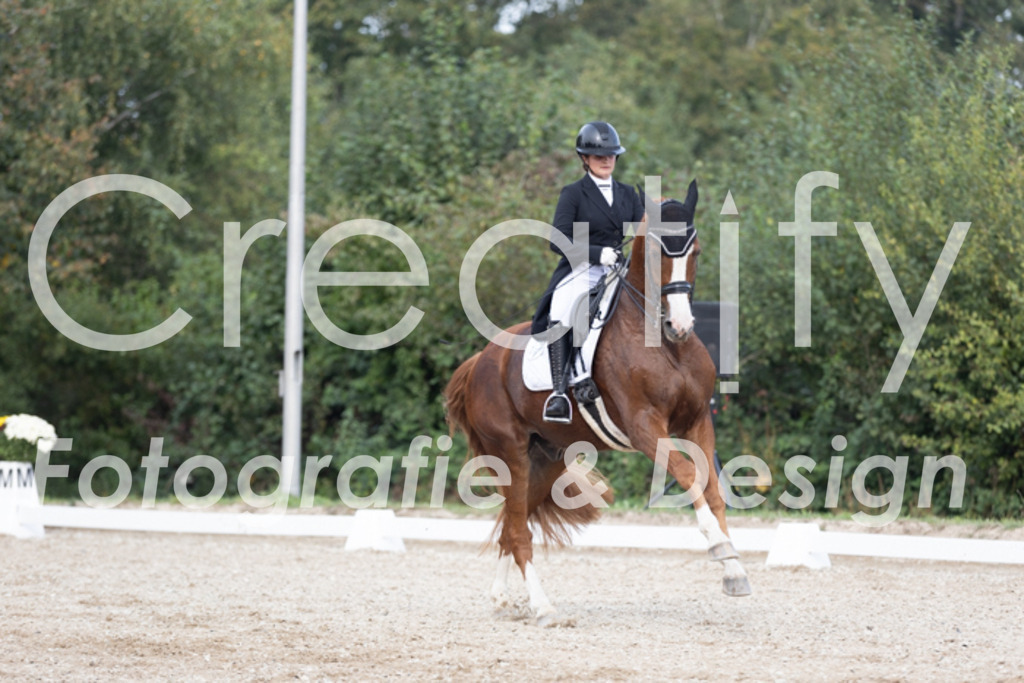 IMG_4750 | Creatify Fotografie