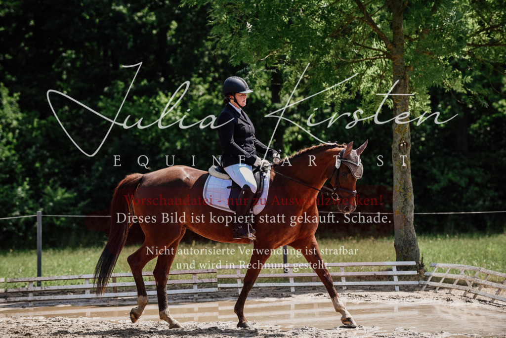 DSC_1293 | Pferde- und Turnierfotografie in Westsachsen. Pferdeportraits, Auftragszeichnungen und intuitive Kunst.