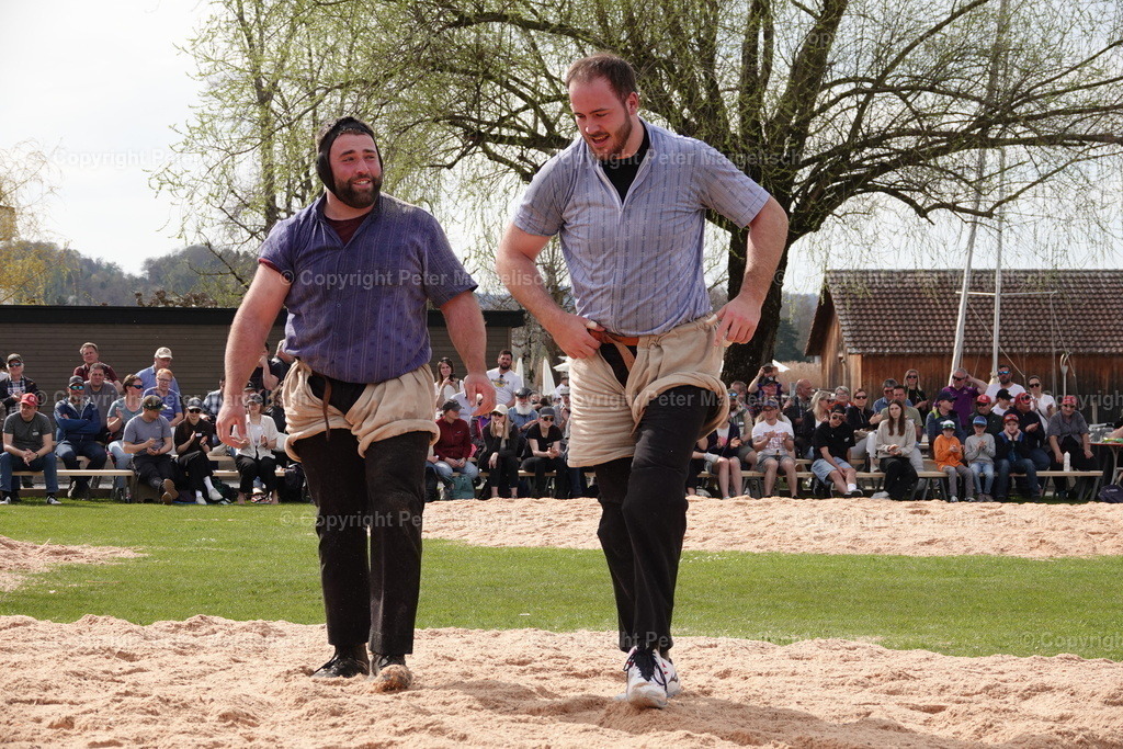 DSC02354 | Schwingen - Realisiert mit Pictrs.com