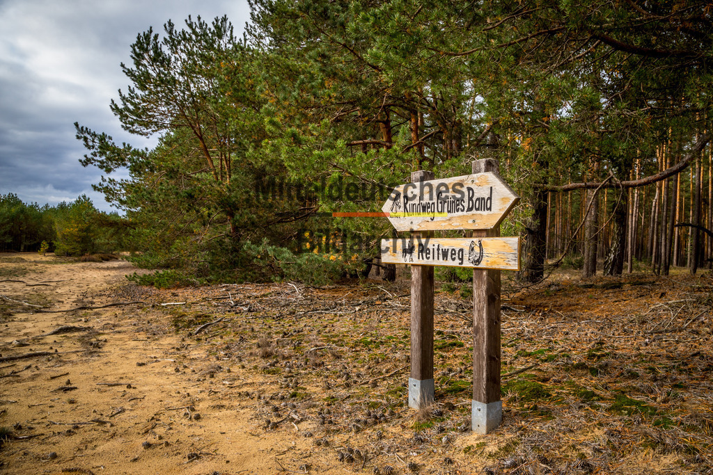 innerdeutsche Grenze Grünes Band Arendsee-2053 | Die innerdeutsche deutsch-deutsche Grenze, das Grüne Band - Realisiert mit Pictrs.com
