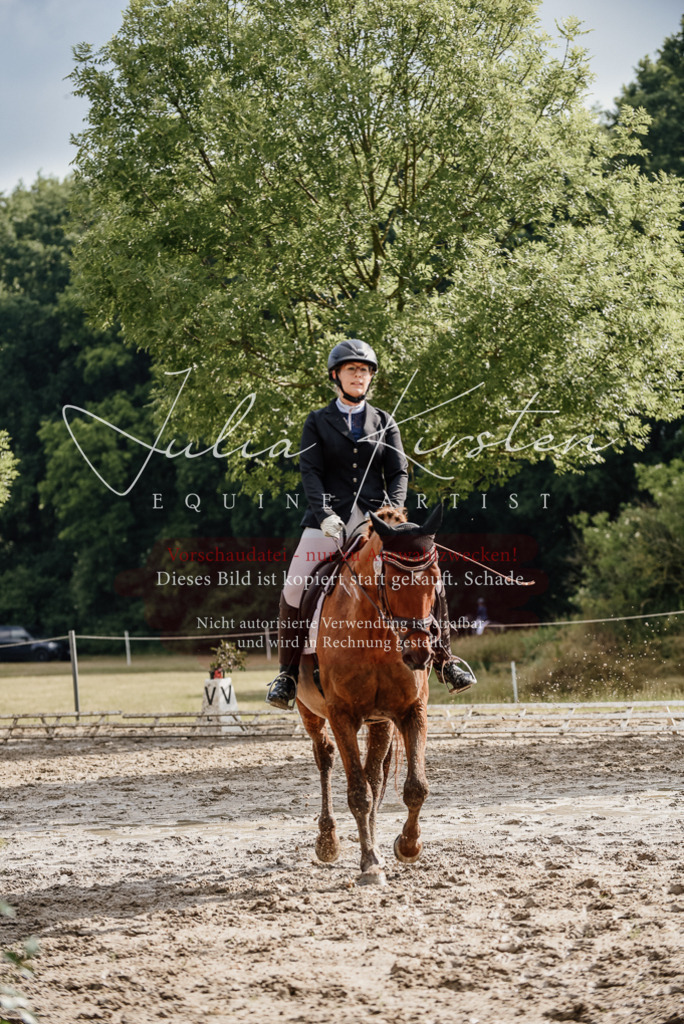 DSC_8910 | Pferde- und Turnierfotografie in Westsachsen. Pferdeportraits, Auftragszeichnungen und intuitive Kunst.