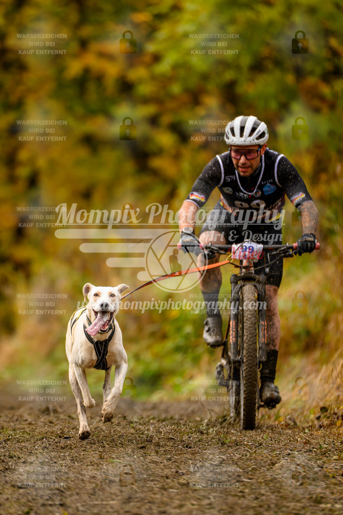MompixPhotography_ICF_WC_2024_SA_Bike_-63 | PayLife