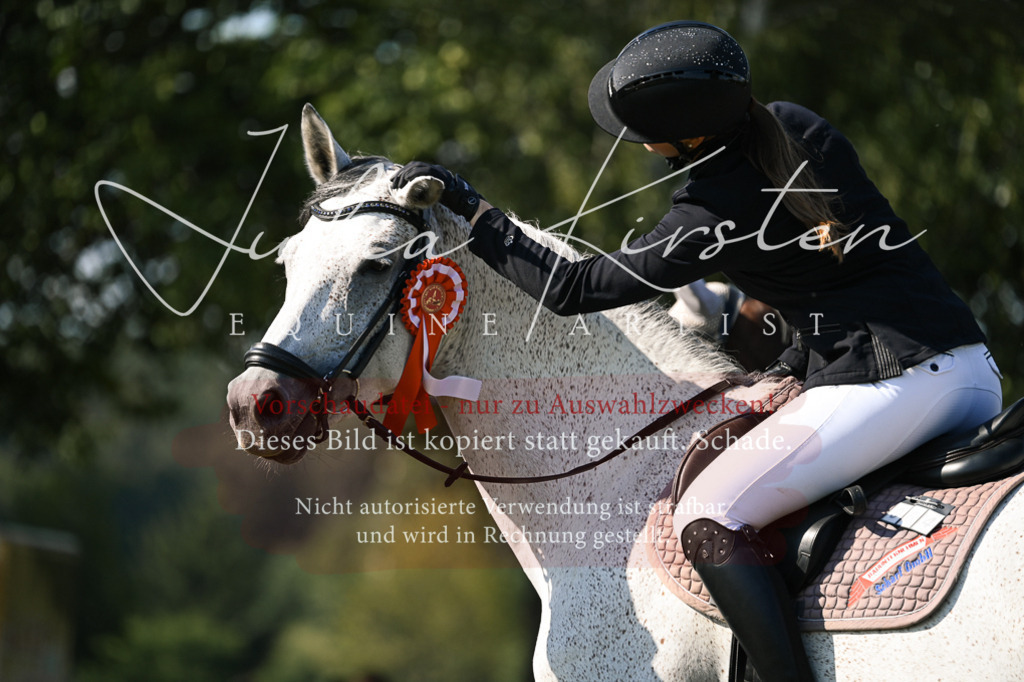 DSC_1554 | Pferde- und Turnierfotografie in Westsachsen. Pferdeportraits, Auftragszeichnungen und intuitive Kunst.