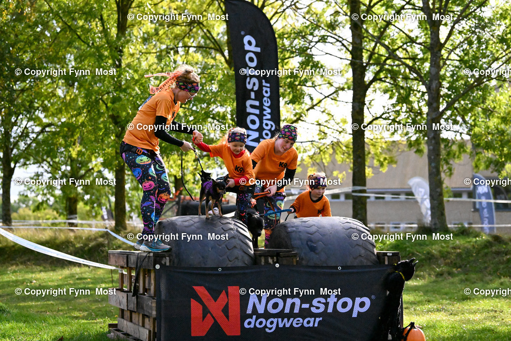 DSC_4695 | Hallo und herzlich Willkommen auf meiner Shop-Seite Fynn Most.

Ich wünsche Dir viel Spaß beim stöbern durch die Bilder, wenn Du Fragen hast oder Bilder vermisst, kannst du mir gerne eine Nachricht schreiben. - Realisiert mit Pictrs.com