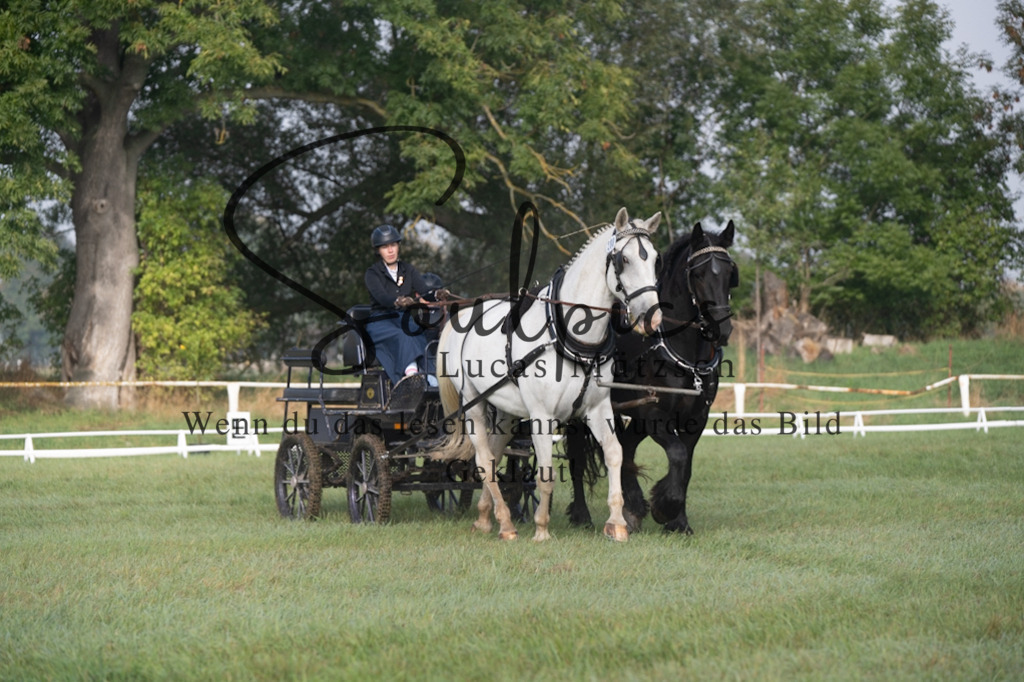 A7V04088 | Pferdefotograf