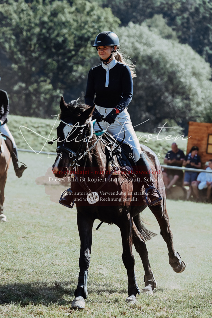 DSC_6243 | Pferde- und Turnierfotografie in Westsachsen. Pferdeportraits, Auftragszeichnungen und intuitive Kunst.