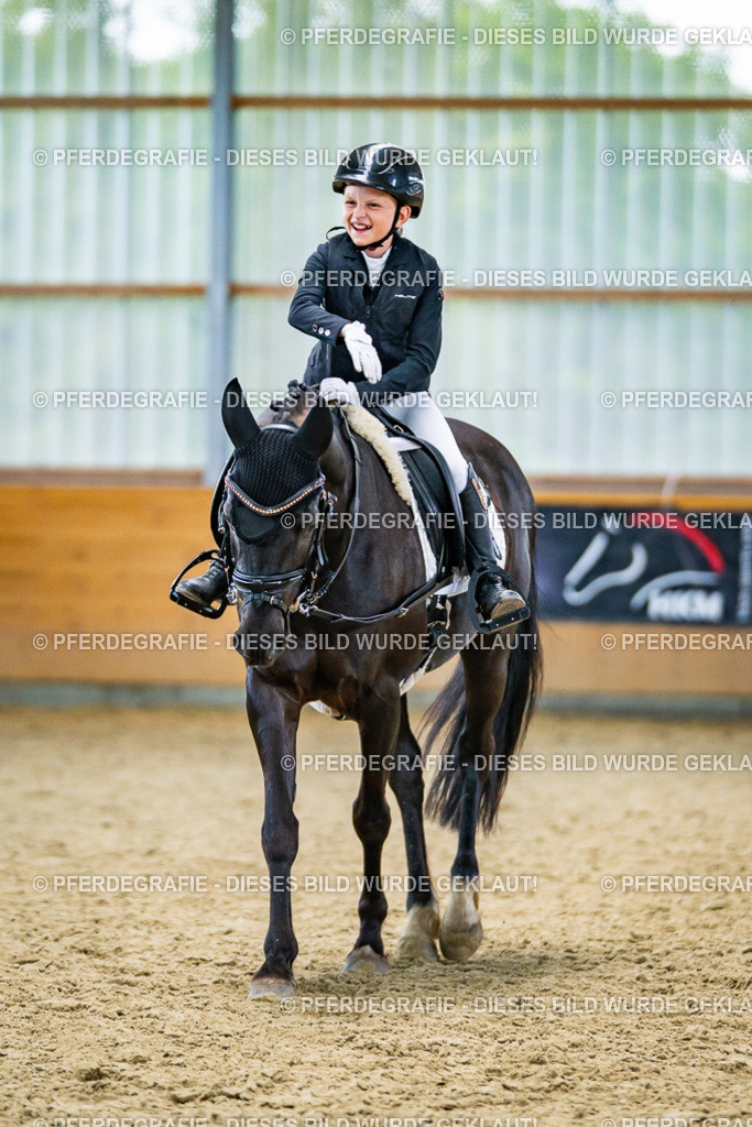 DSC04802 | Pferdegrafie