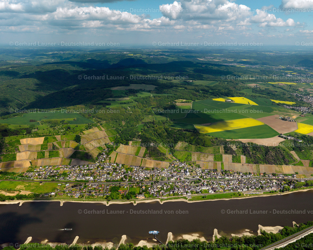 3117007 | Weinberge an den Hängen am Rhein bei Leutesdorf