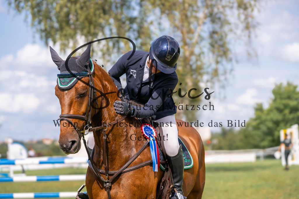 A7V04800 | Pferdefotograf