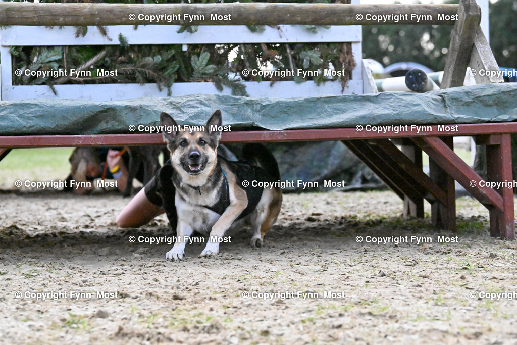 DSC_5014 | Hallo und herzlich Willkommen auf meiner Shop-Seite Fynn Most.

Ich wünsche Dir viel Spaß beim stöbern durch die Bilder, wenn Du Fragen hast oder Bilder vermisst, kannst du mir gerne eine Nachricht schreiben. - Realisiert mit Pictrs.com