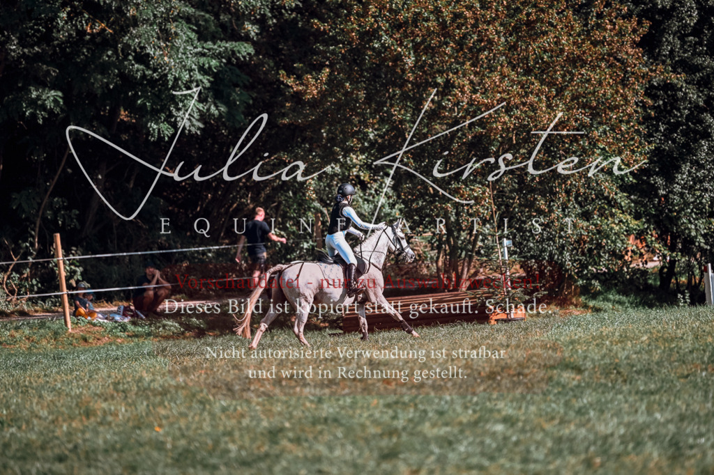 DSC_0646 | Pferde- und Turnierfotografie in Westsachsen. Pferdeportraits, Auftragszeichnungen und intuitive Kunst.