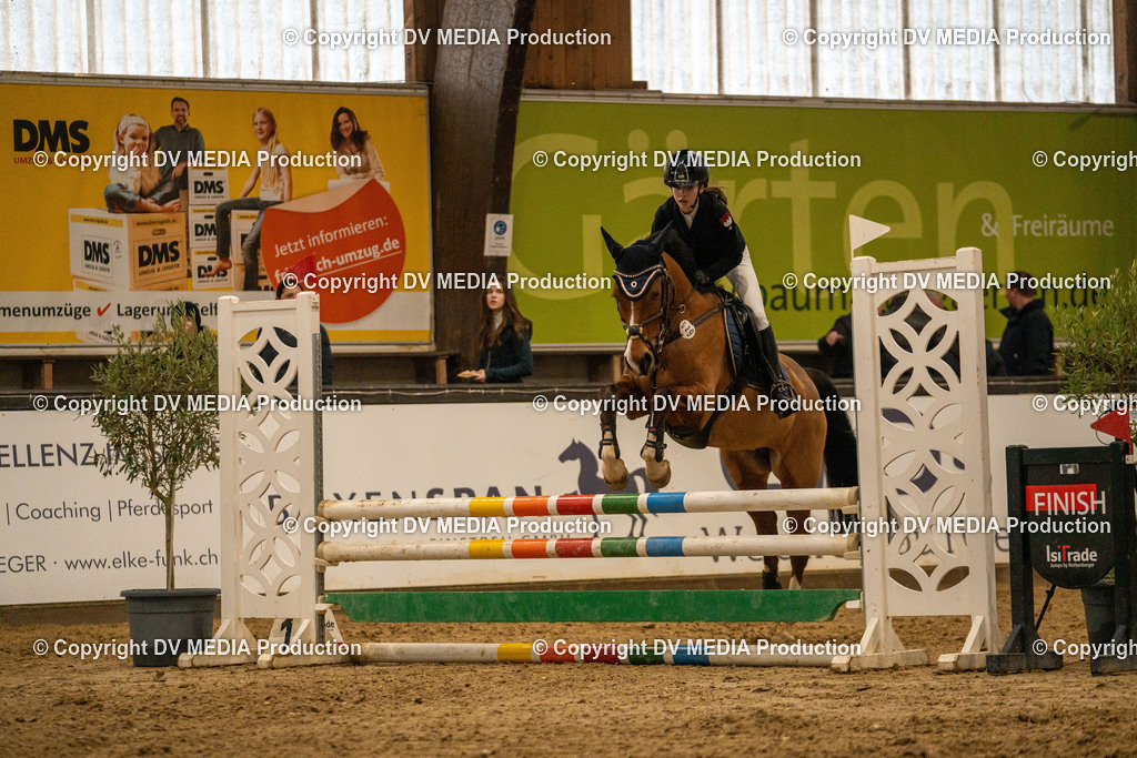 Kranichstein Tag 1-293 | dv-media-shop - Realisiert mit Pictrs.com