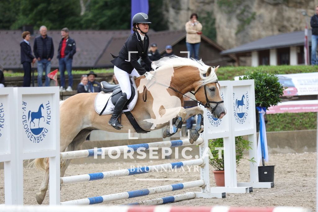 0P6A1089 | Willkommen bei Brunnmayr - Design & Fotografie – Ihrem Spezialisten für Reitturniere und Pferdeveranstaltungen in Oberösterreich, Salzburg und Bayern! Seit über 17 Jahren sind wir leidenschaftlich dabei.