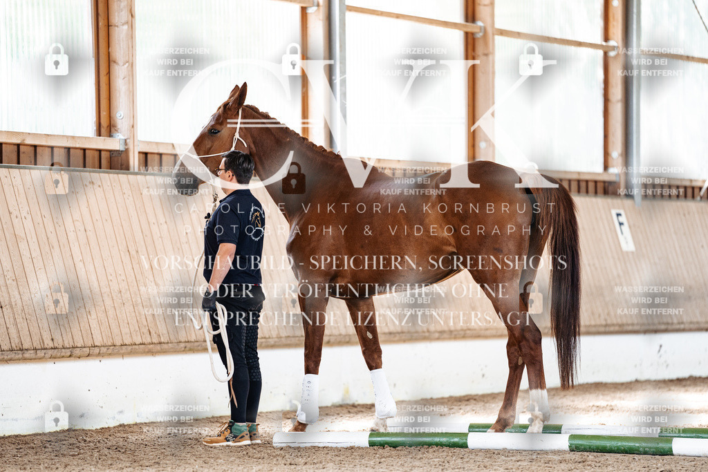 CK905814 | Turnierfotografie Pferdefotografie Trier Rheinland-Pfalz Pferdesport Reitsport Tierfotografie Sportfotografie Pferdevideo Pferdevideografie Equestrianvideography equestrianphotography  - Realisiert mit Pictrs.com