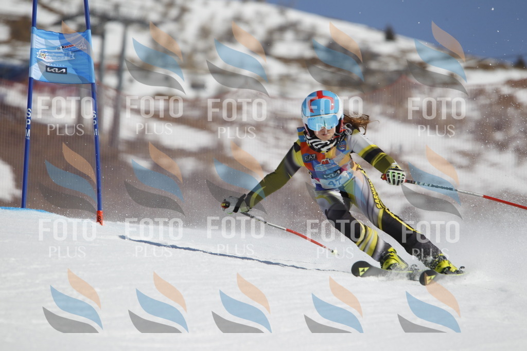 _U3G9343 | holidayphoto