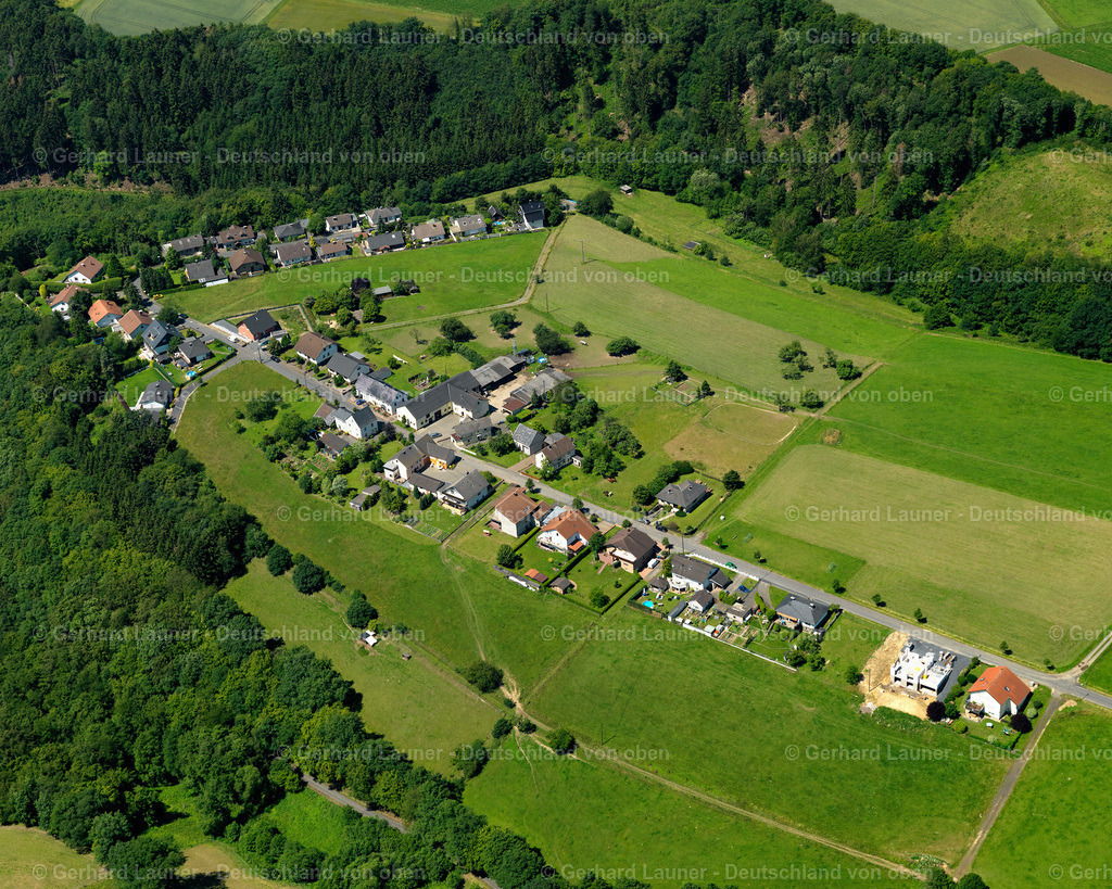 3120257 | Scharenberg