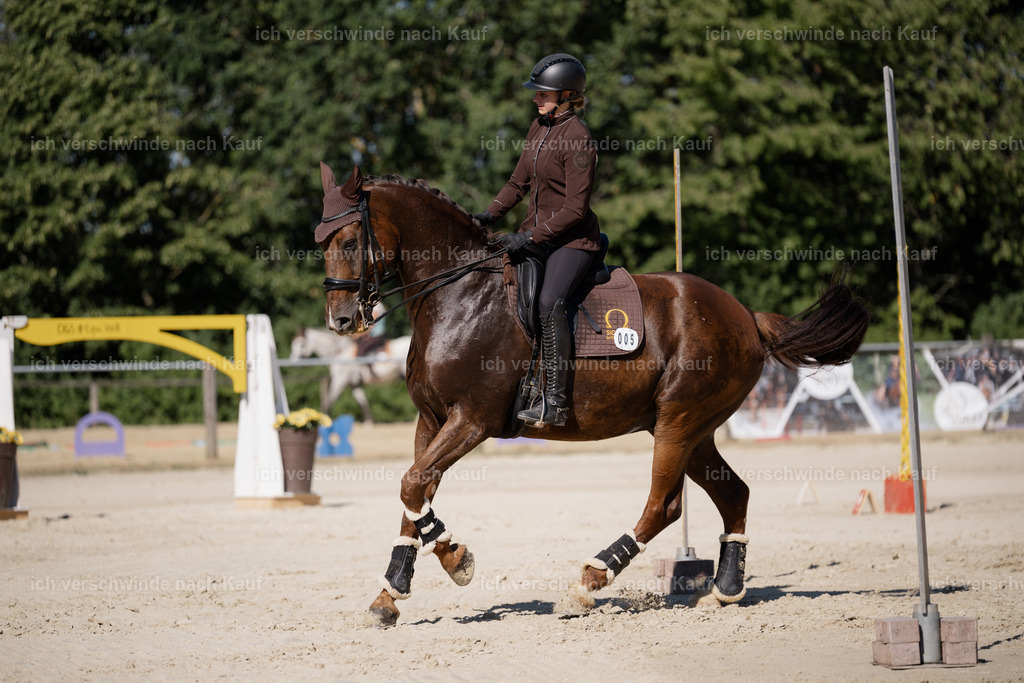 WM_ST_5_stoibphotography_SO12080 | working equitationturnier fotograf videograf stoibphotography marixx film working equitation deutschland reitsport turnierfotografie eventfotografie equestrian events