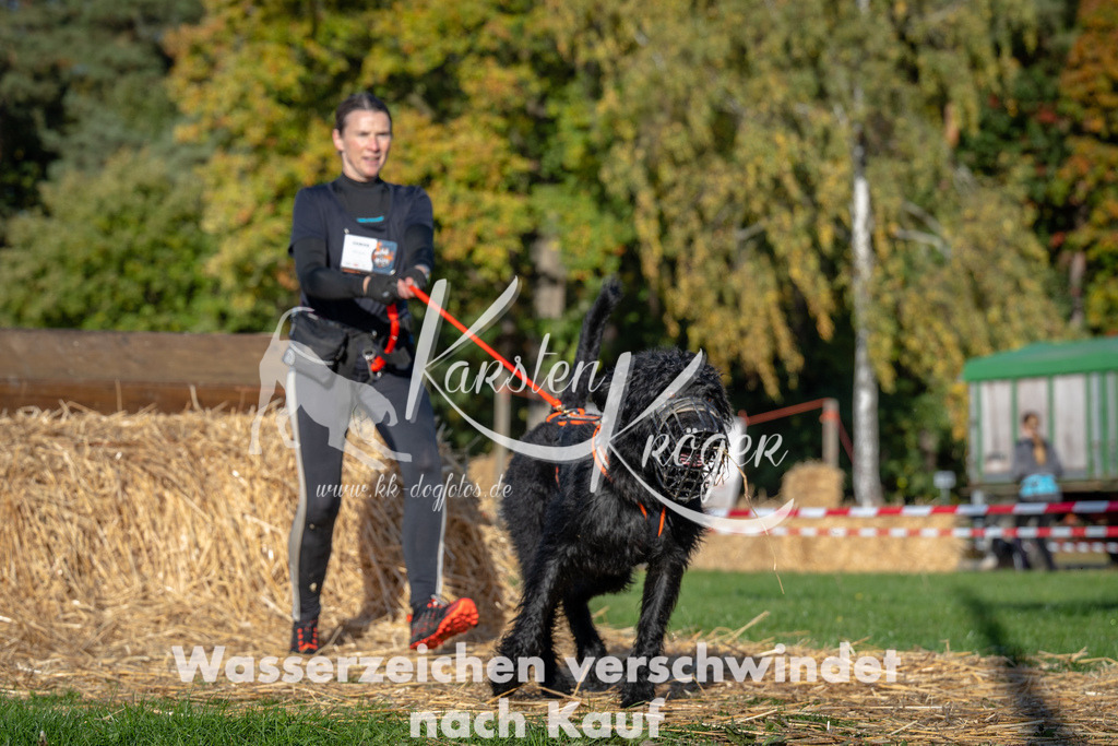 0955_ZZ91576 | kk-dogfotos