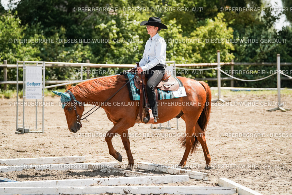 DSC07354 | Pferdegrafie