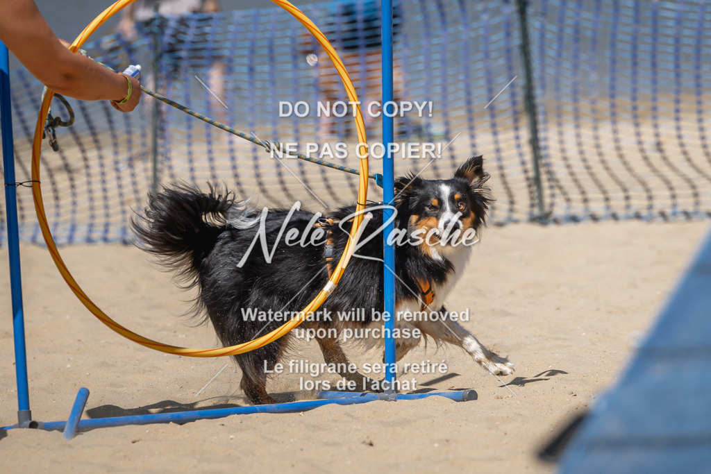 nelerasche_saBeachility_654 | nelerasche