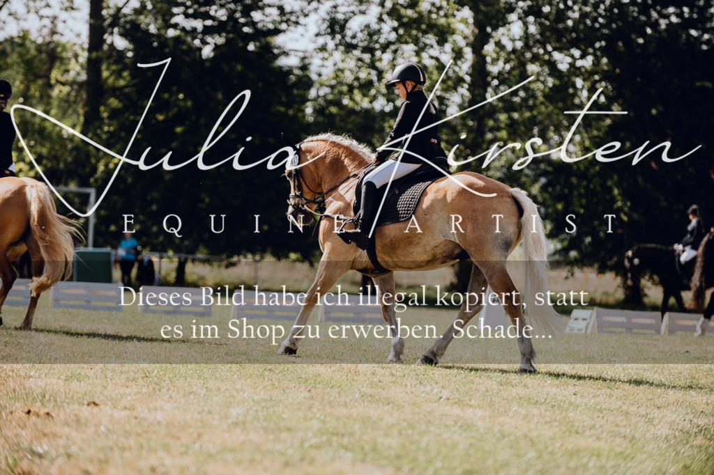 DSC_7073 | Pferde- und Turnierfotografie in Westsachsen. Pferdeportraits, Auftragszeichnungen und intuitive Kunst.