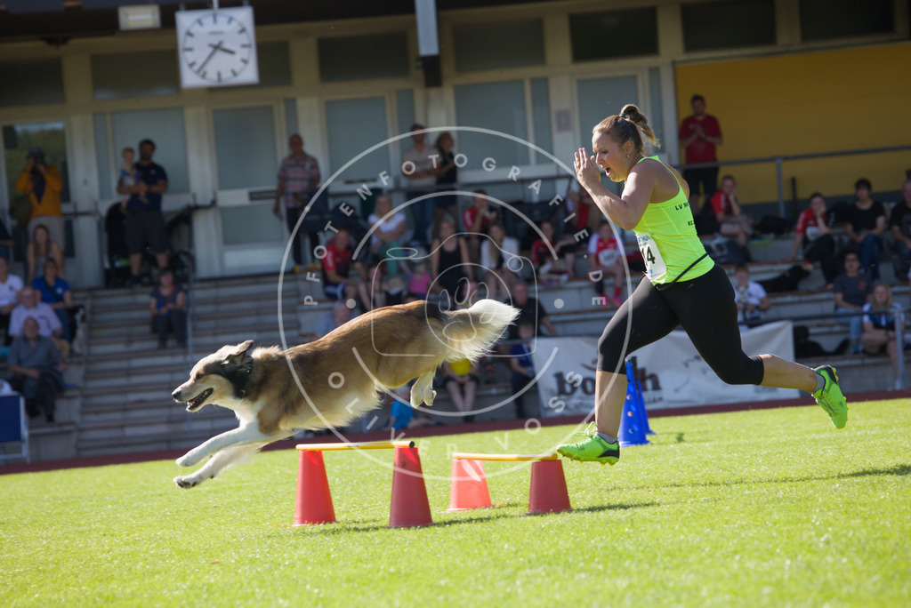 0L8A8057 | Hundefotografie, Tierfotograf, Pfotenfotografie, Fotoshooting Hund, Hunde Portrait, Hundesport, Hundeportraits, Heideshooting, Hunde, Sportfotograf, Hundefotograf, Turnierhundsport, THS,  - Realisiert mit Pictrs.com